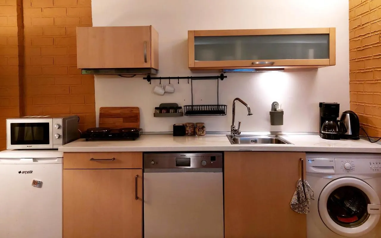 Spacious Apartment On Istiklal Avenue اسطنبول